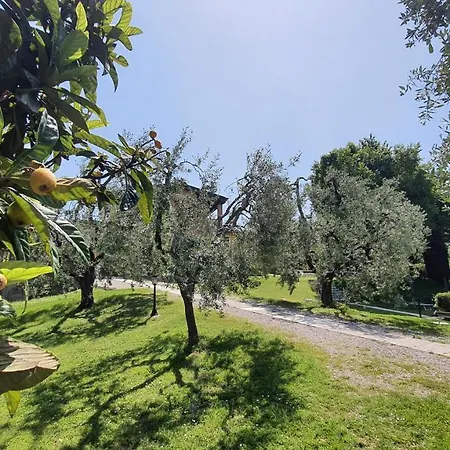 Apartment Santa Caterina Manerba del Garda