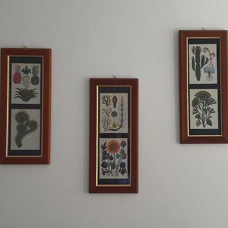 Santa Caterina Apartment